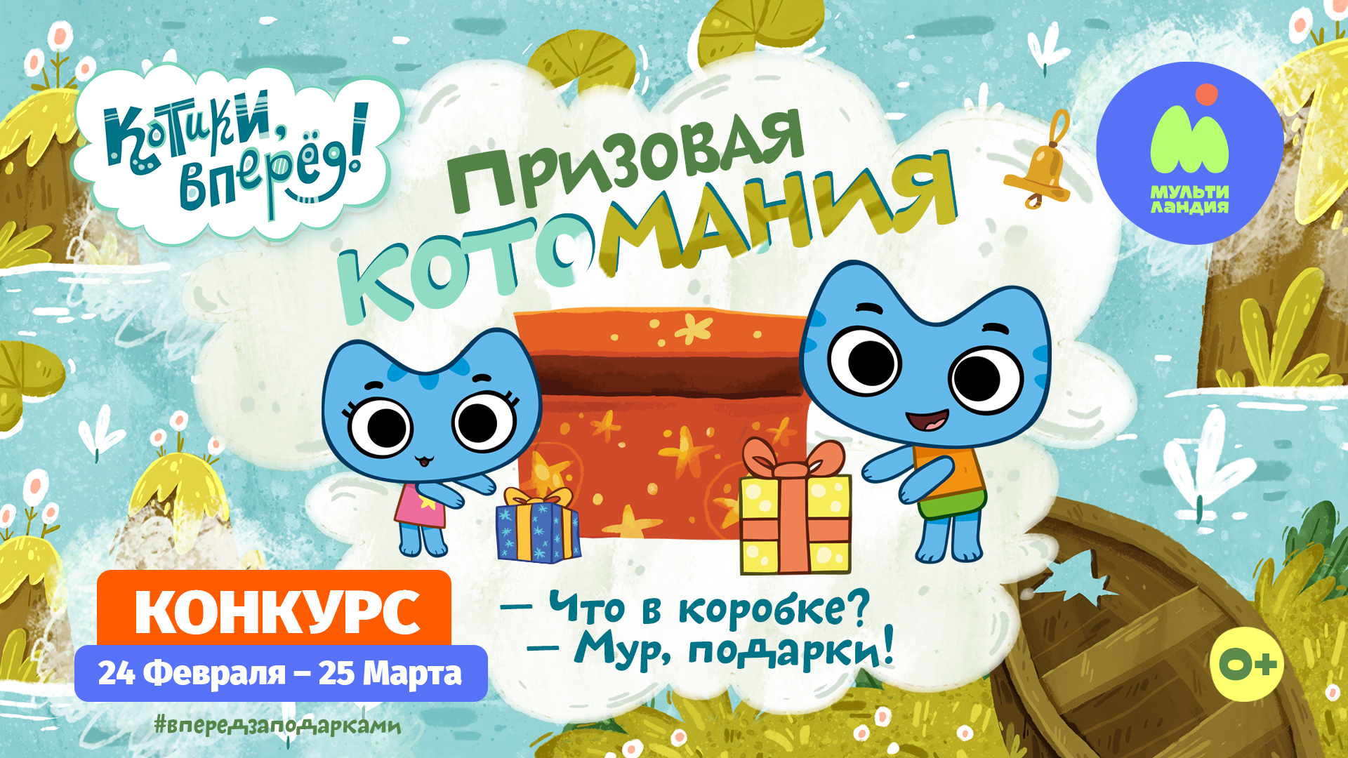 Призовая котомания