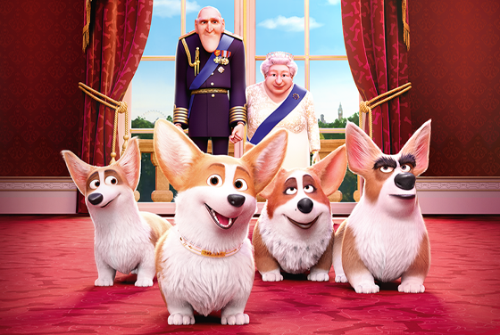 Королевский корги