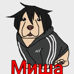Кошак Пипидастр