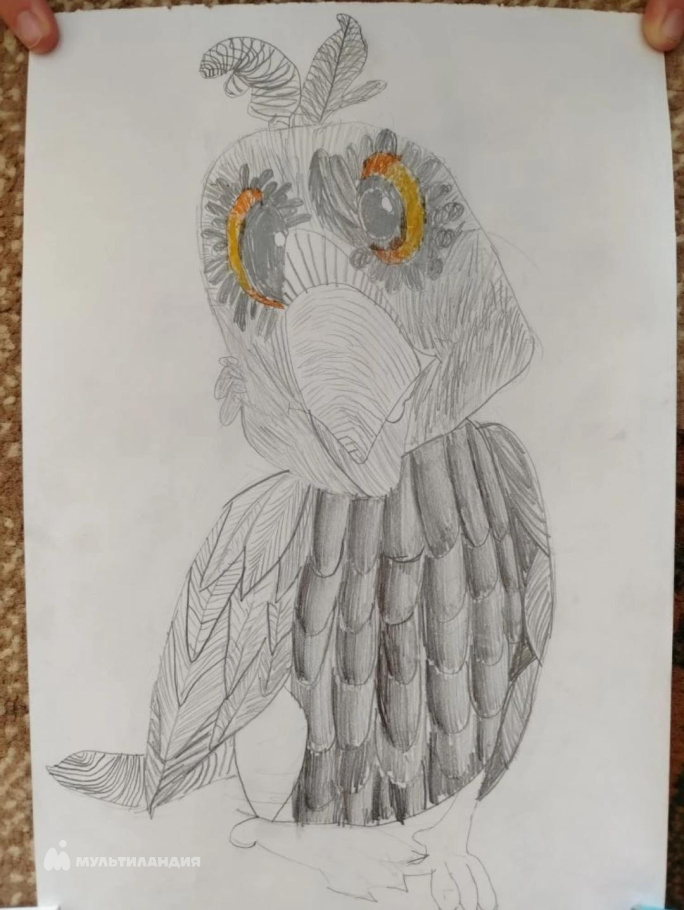 Авдюшкина  Анастасия