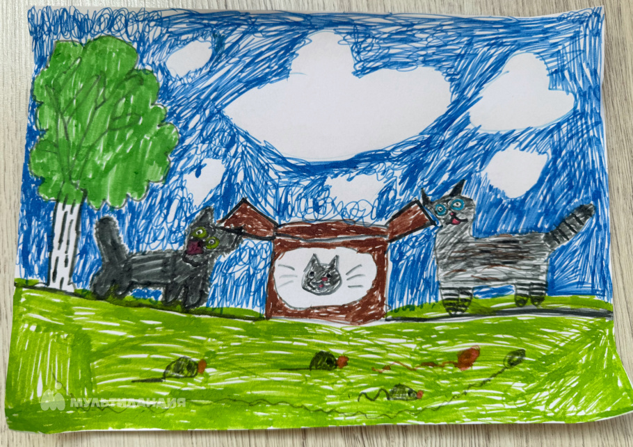 Шаломенцева Вероника