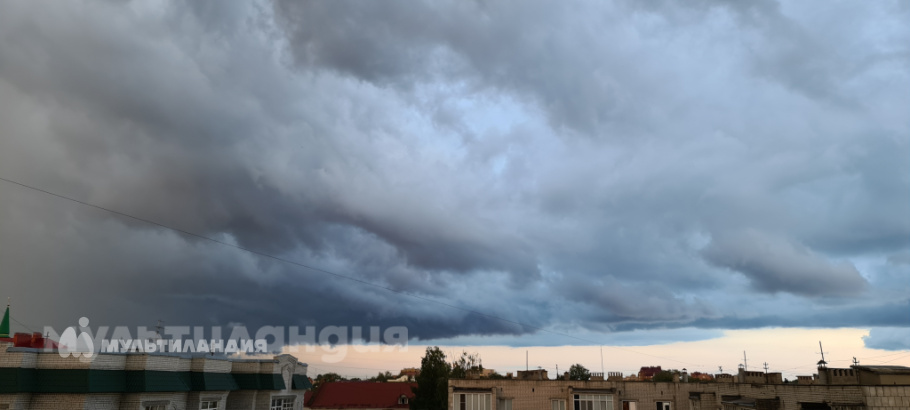 Камиль Хакимов