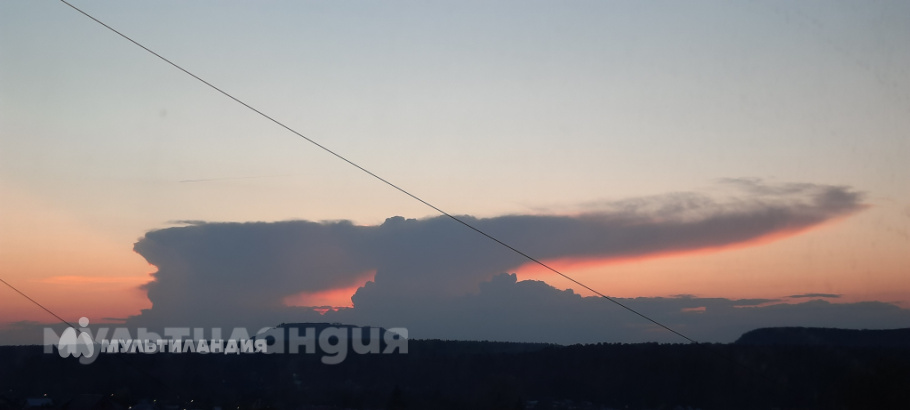 Степа Тронин