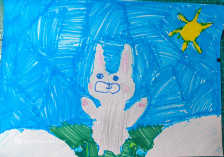 Андреевцева  Анна