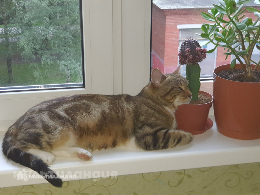 Вавилин Саша