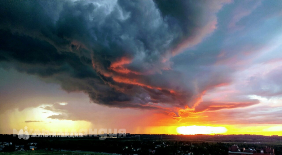 Златослава Котова