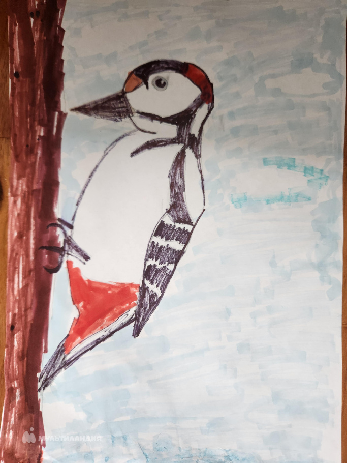 Стрельцова Василиса