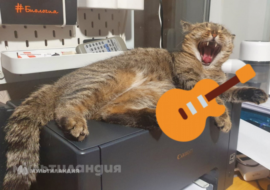 Антонина Воронина