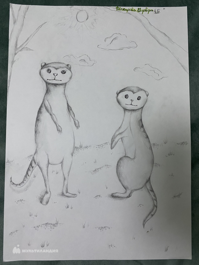 Шакирова Варвара