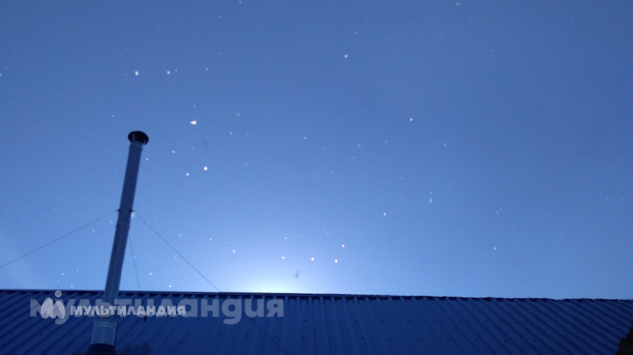 Дарья Чеченихина