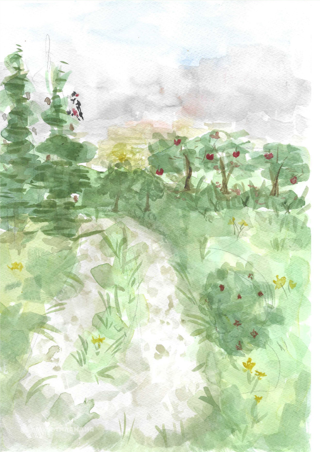 Кофанова Мирослава