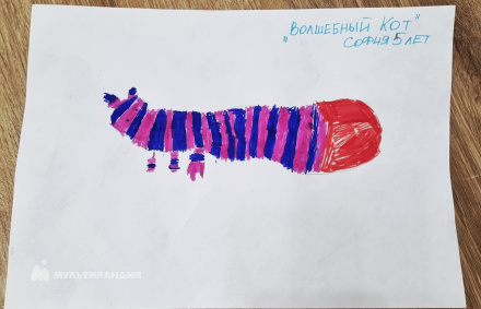 Соколова  София