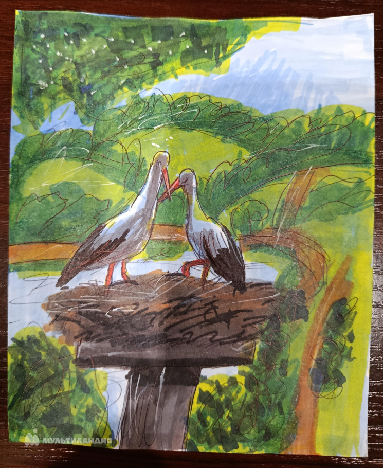 Никульшина  Екатерина 