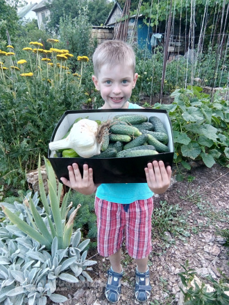 Федин Всеволод, 7 лет,  Республика Крым, г.Саки