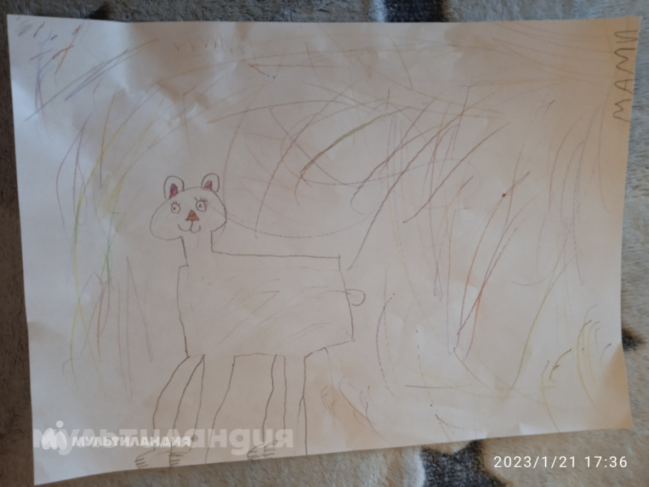 Каталицкая Анастасия