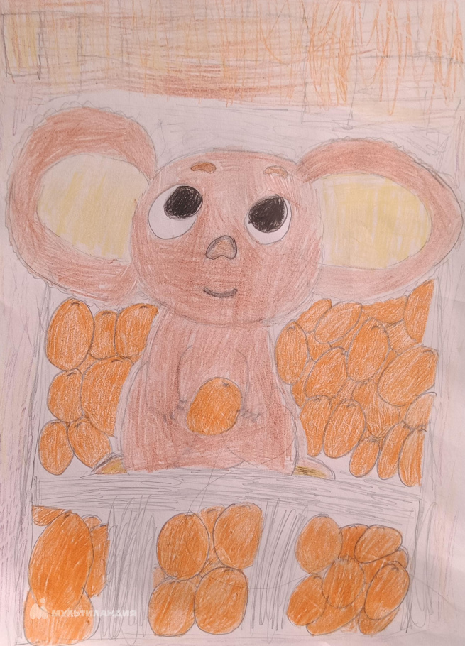 Шелухина Мария