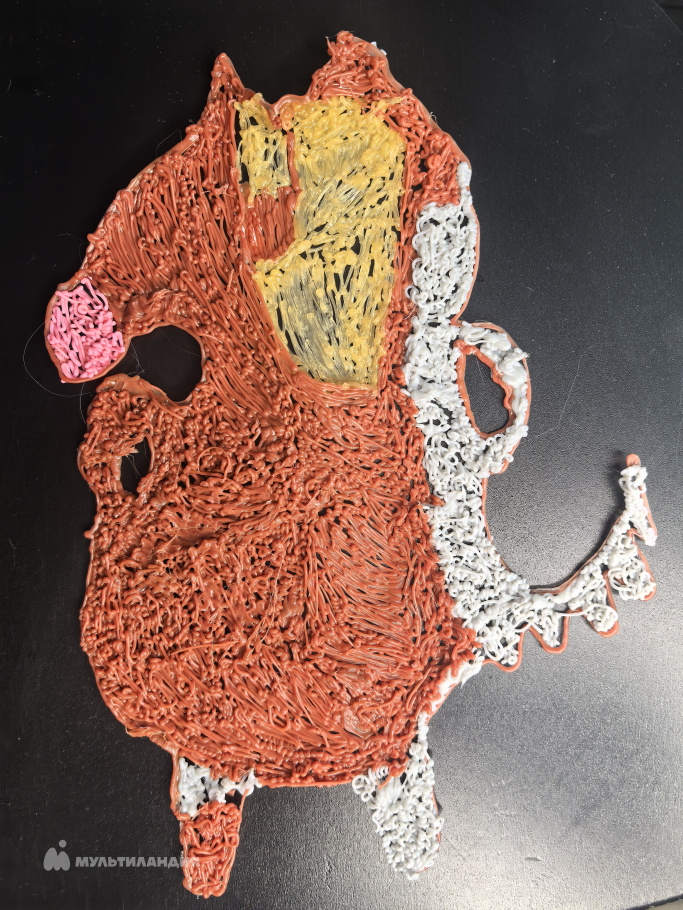 Бутасова Надежда