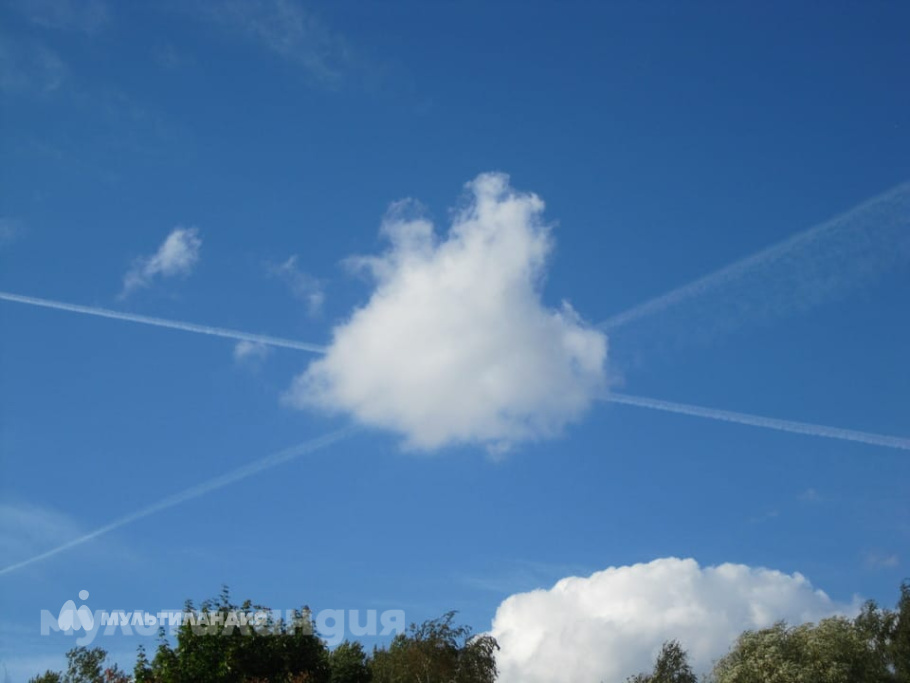 Таня Неретина