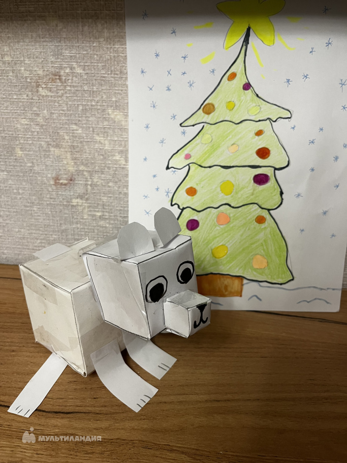 Ольшевская Владислава