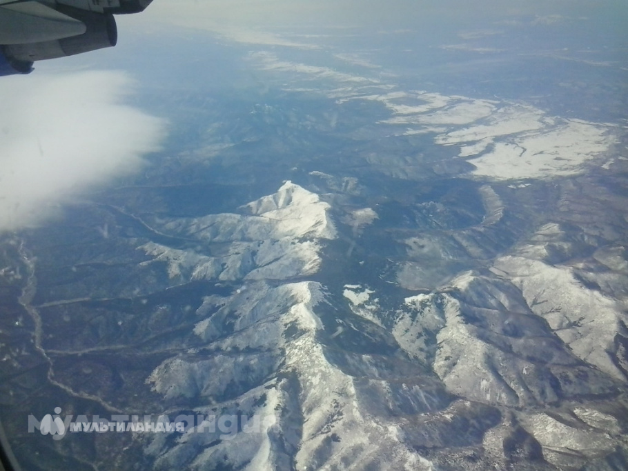 Давыдова Полина