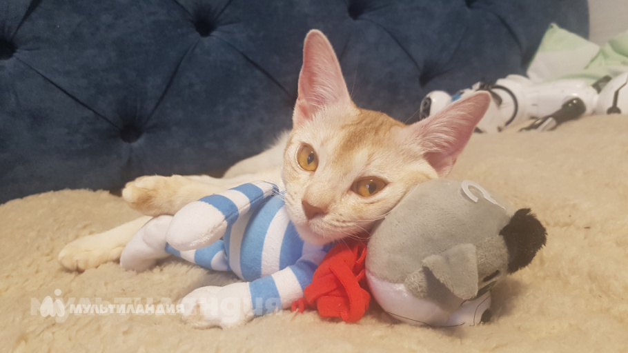 Ильин Михаил, 7 лет