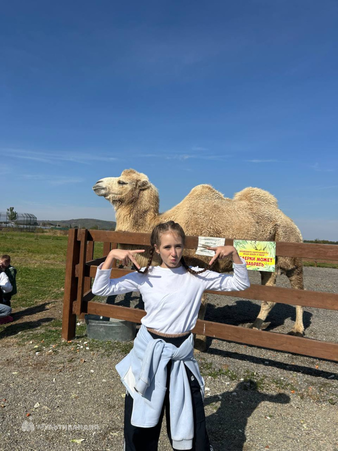 Стрельцова  Полина 