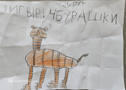 Салахутдинов Камиль