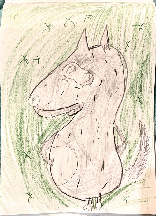 Аминова  Лилия