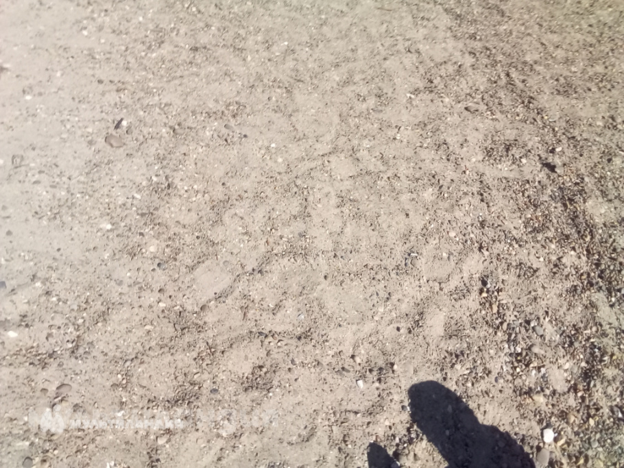 Михаил Егоров