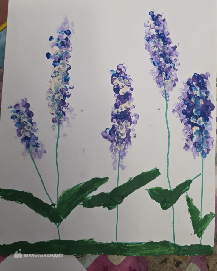 Норкина Кристина 