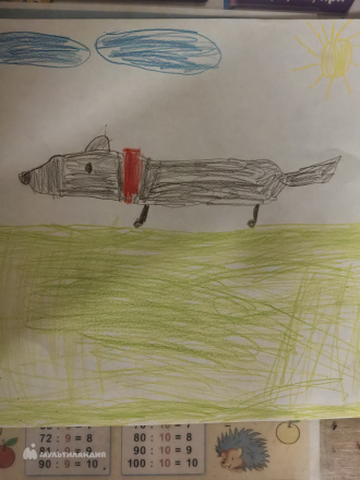 Усманов Денис 