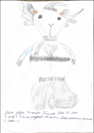 Шипкова  Полина