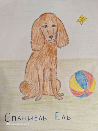 Пиляева Вера