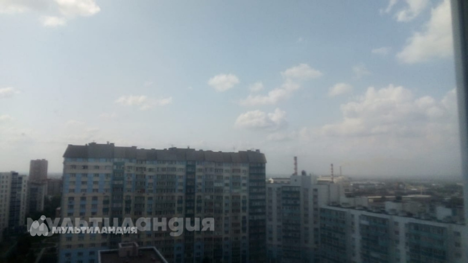 Семён Видулин