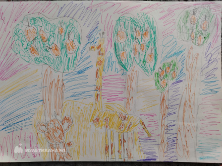 Галченкова  Алиса