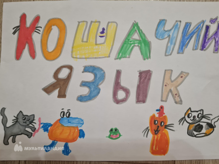 Сараева  Софья 