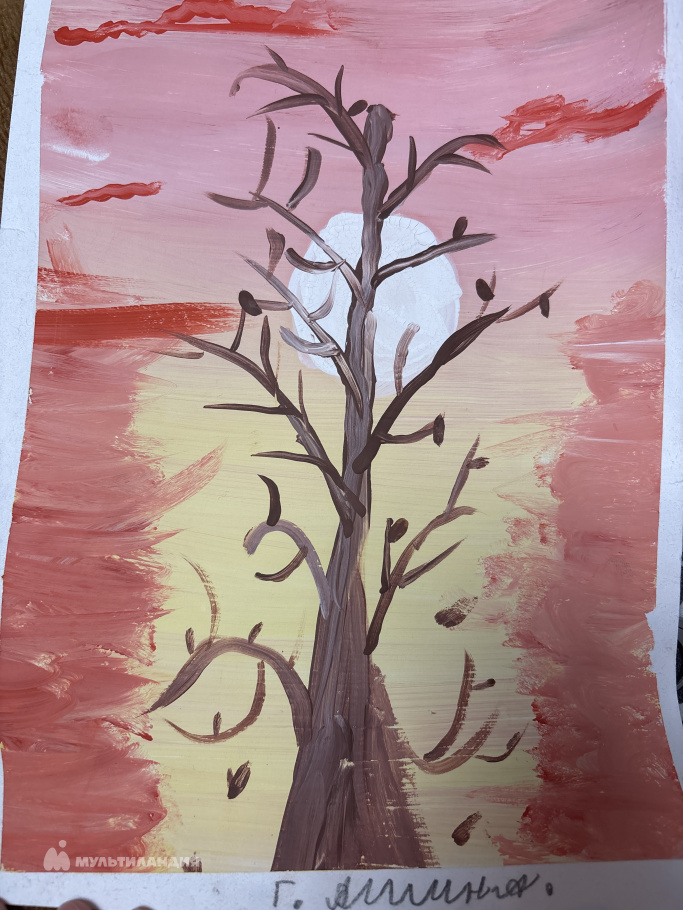 Галеева Амина 