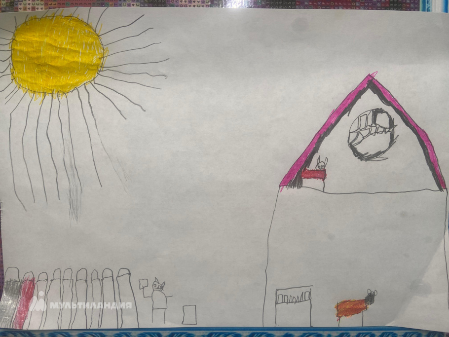 Никитин  Арсений