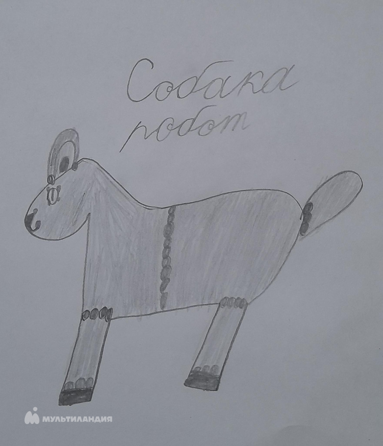 Соколова  Мария