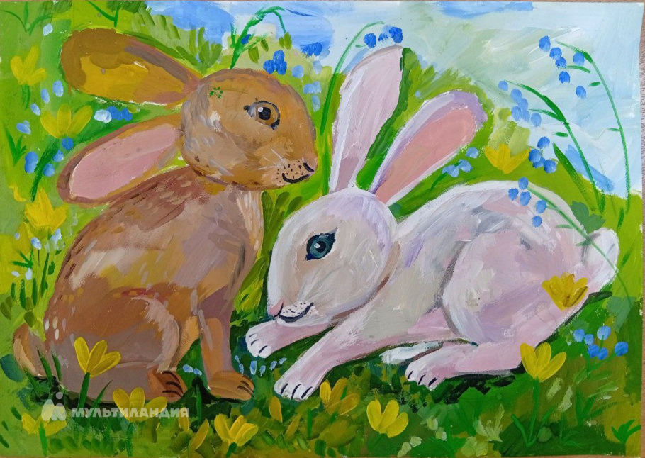 Мамедов  Давид-Амир 