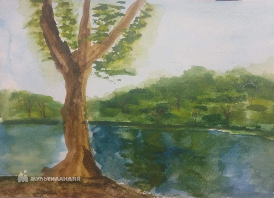 Розина  Анастасия