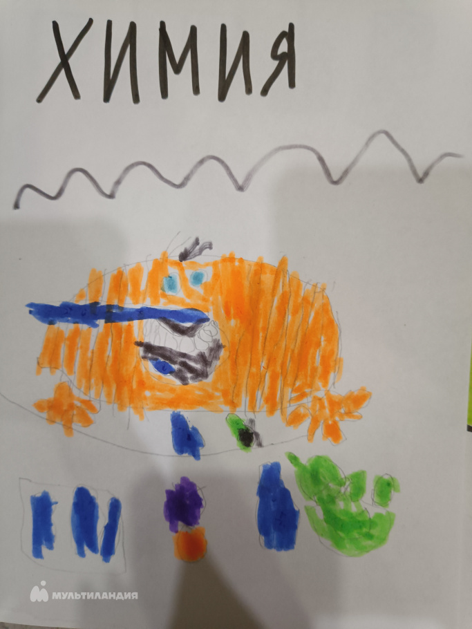 Шпилев Никита