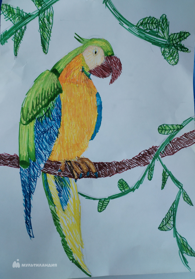 Синицкая Елизавета