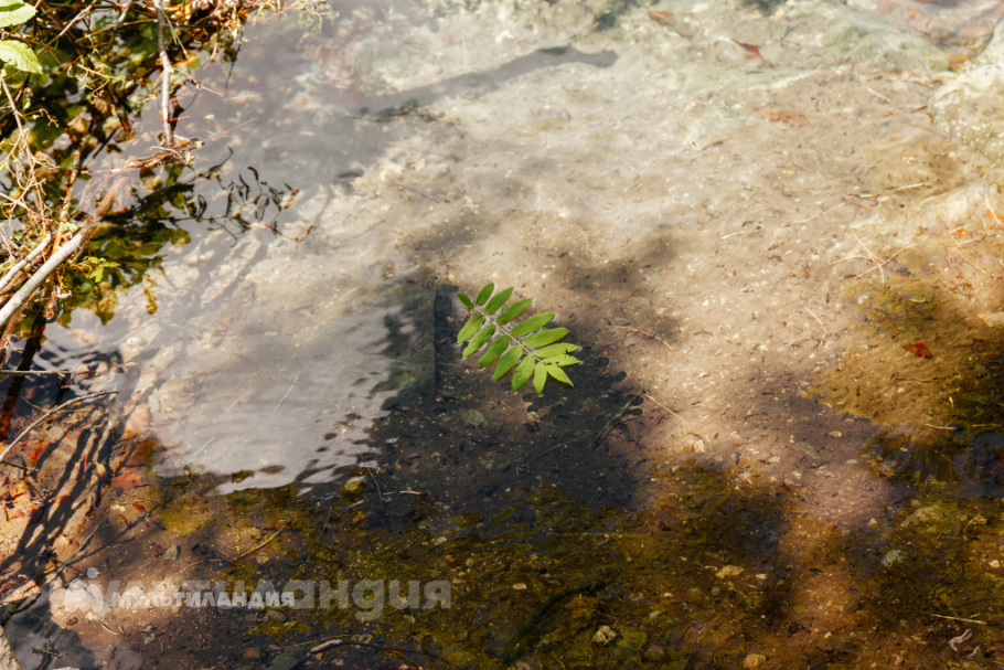 зуева дарья