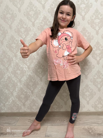 Ильина  София 