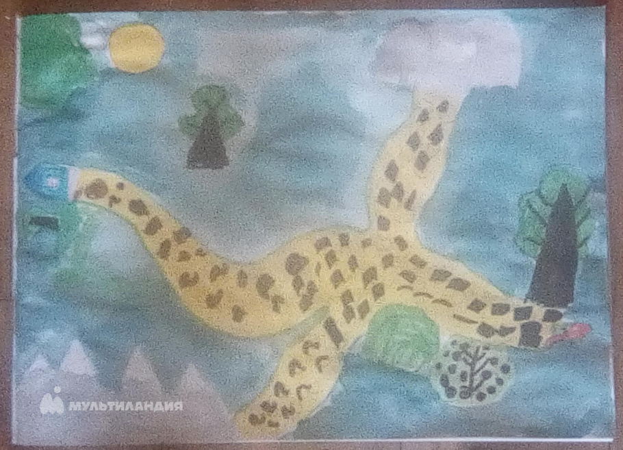 Соколова Анастасия