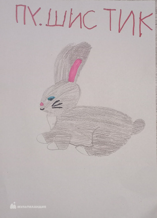 Сурина Анастасия