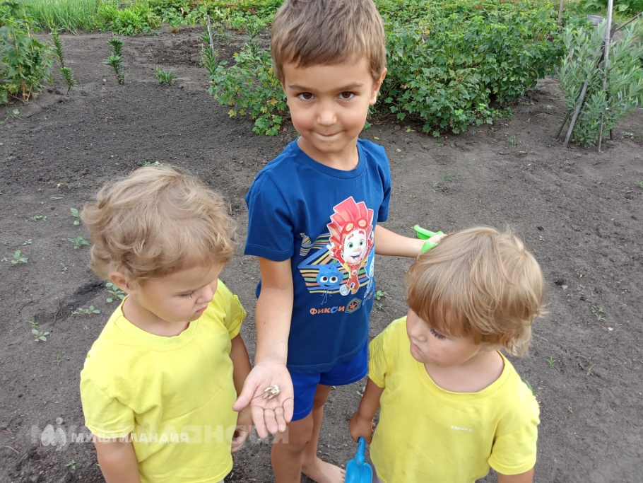 Фёдор Губанов