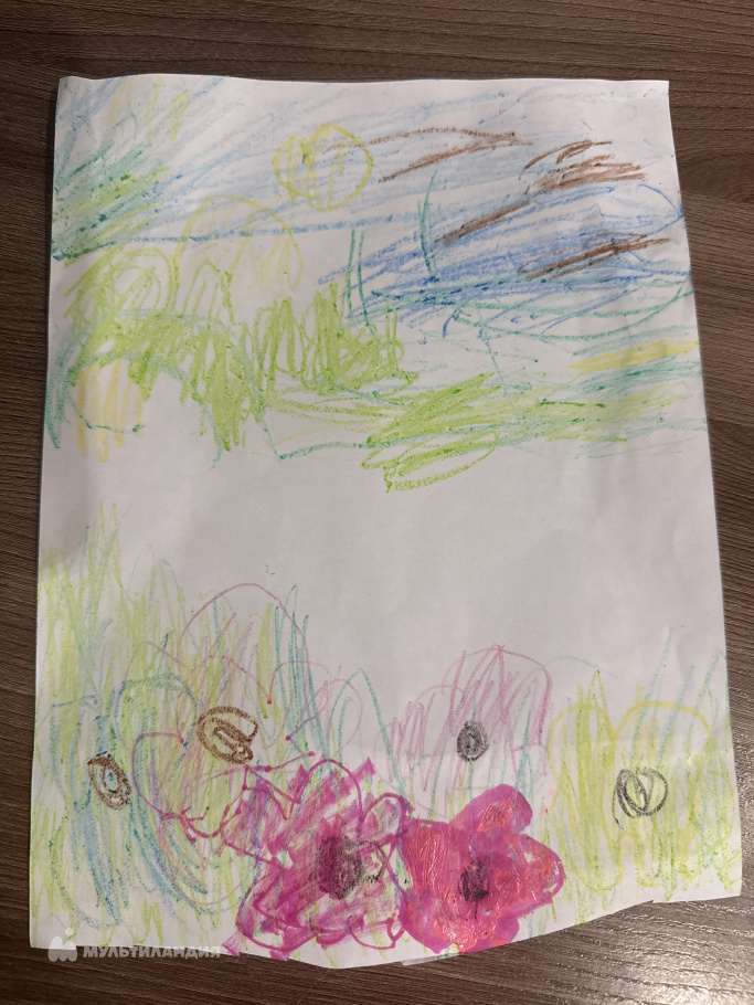 Арсланова Елизавета