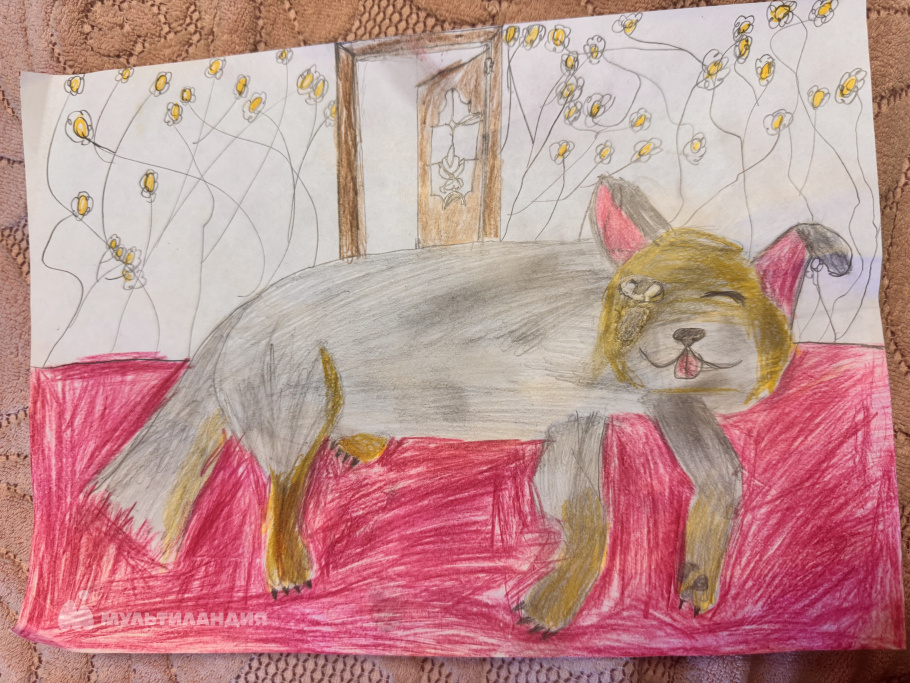 Цыбка  Анастасия 